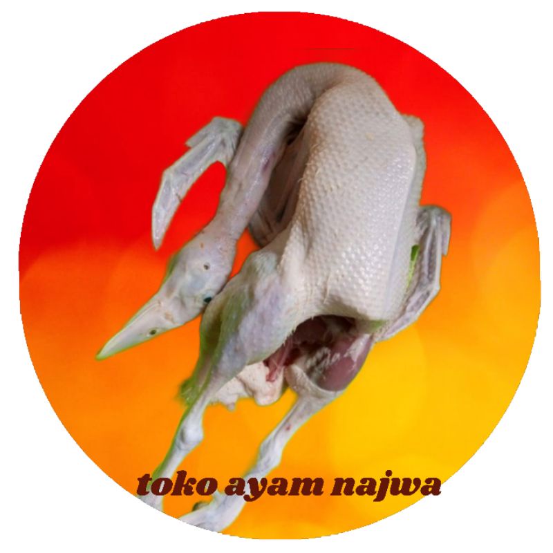 

bebek fresh