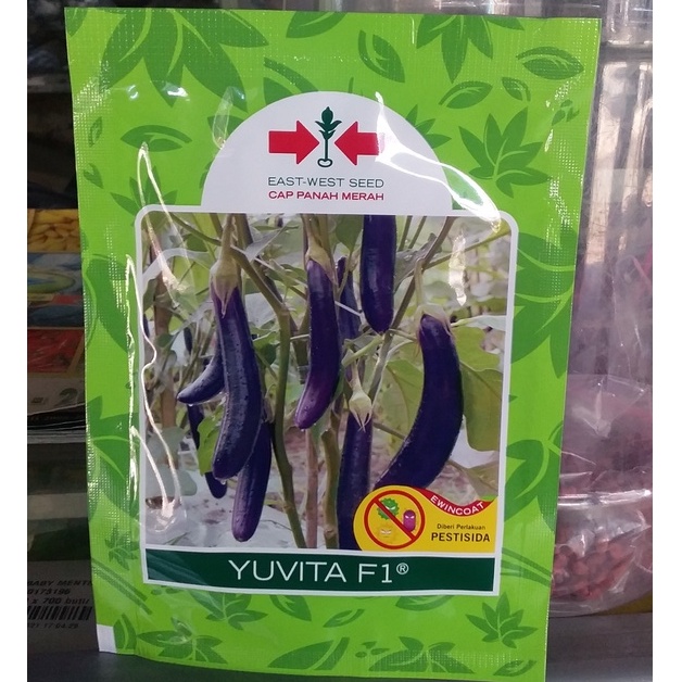 Benih Terong Yuvita F1 1.100 butir