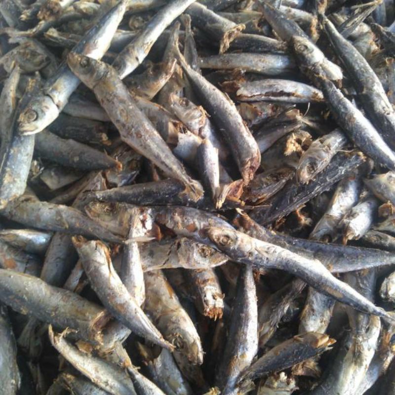 Ikan Asin Layang / Ikan Asin Pindang Lajang / Berat 250 Gram