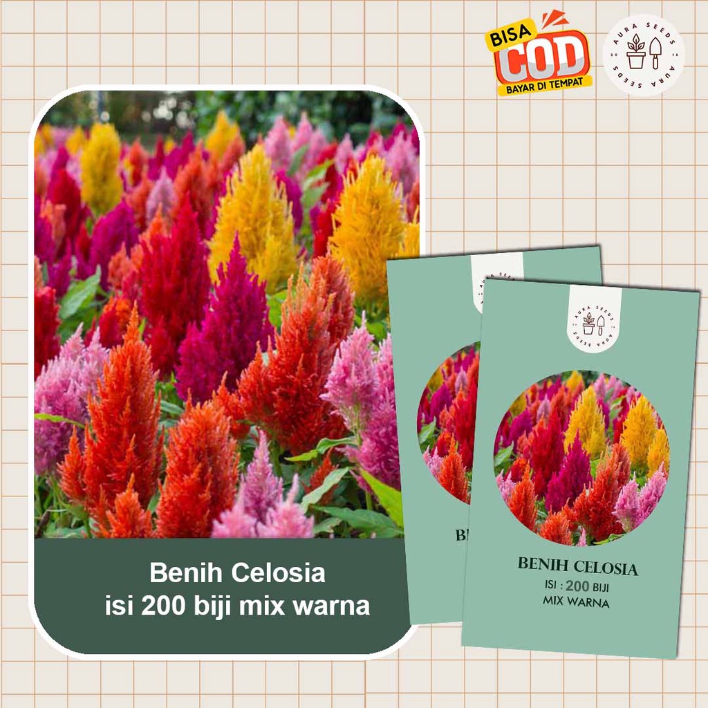 Bibit Tanaman Hias Benih Biji Bunga Celosia Bunga Hias Isi 200 Biji Mix Warna