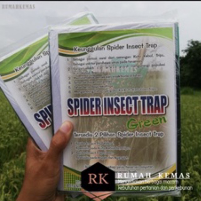 Spider insect trap green isi 20 lembar trap serangga hijau