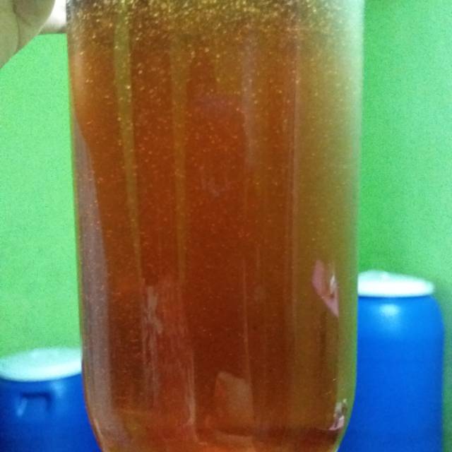 

Madu hutan organik