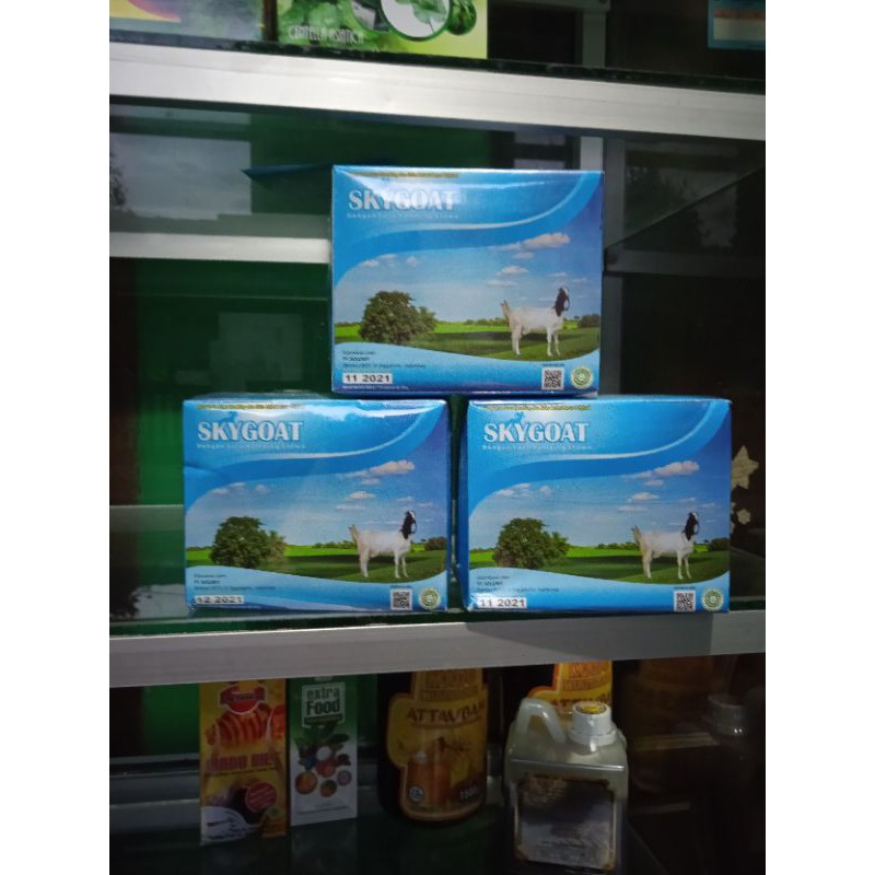 

skygoat/susu kambing etawa sehat bugar