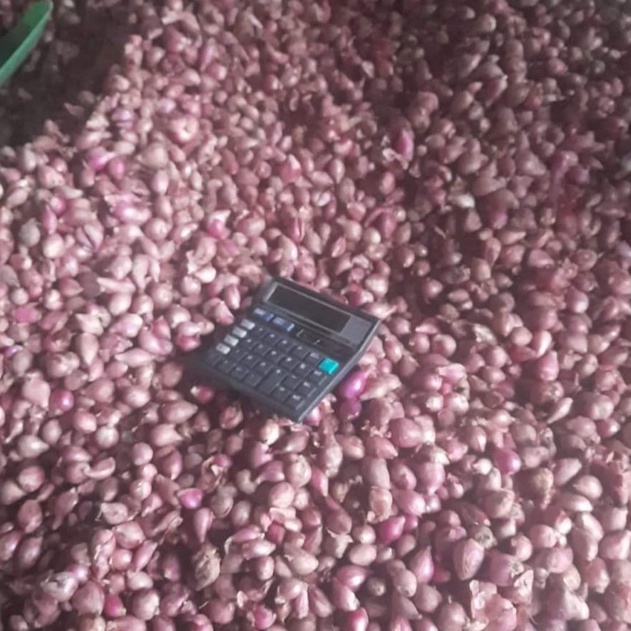 

Bawang Merah