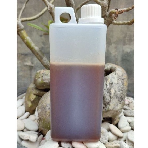 

[1kg] Madu Murni Asli Multiflora