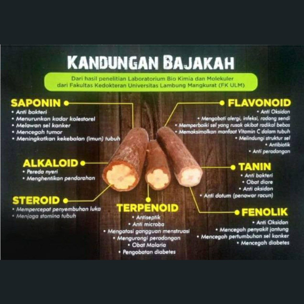 Akar Bajakah kalalawit kering 100 gr Siap Seduh (100% Original)