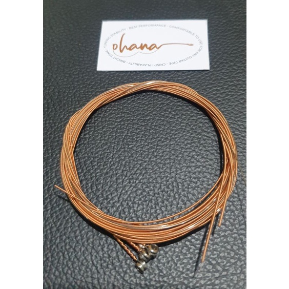 Senar Bronze 09 set Akustik