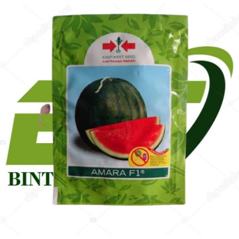Amara Benih Semangka Non Biji Kemasan 20 Gr