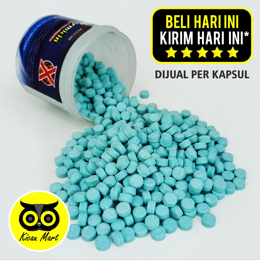 WORMICIN TOP SONG TOPSONG OBAT BURUNG MERPATI CACINGAN OBAT CACING MERPATI PIL KAPSUL OBAT BURUNG MERPATI BALAP KURUS NYILET LESU TIDAK NAFSU MAKAN BULU NGEMBANG WRMCN