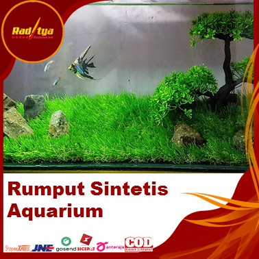 Rumput Sintetis Aquarium 50x30 Type Jepang 3 cm Buat Hiasan Aquarium Bisa COD Dari Raditya   Desain Art