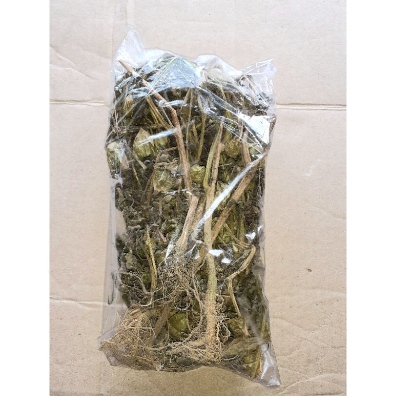 

daun ciplukan kering 100gr