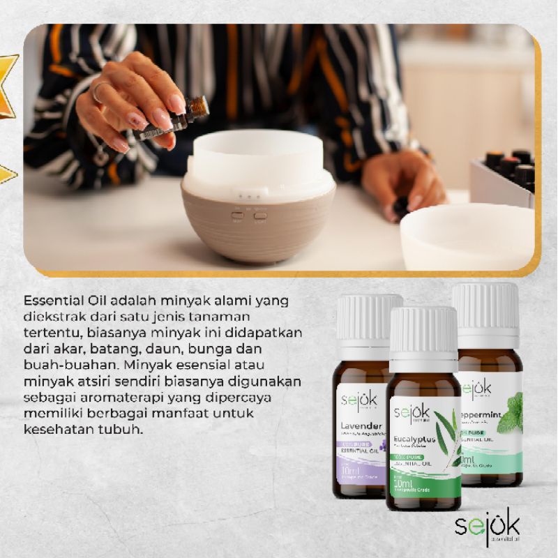 Sejuk Paket Best Seller Essential Oil / Minyak Aromaterapi Pure 100% 10 ml