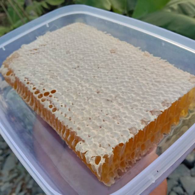 

Madu Sarang 500gr