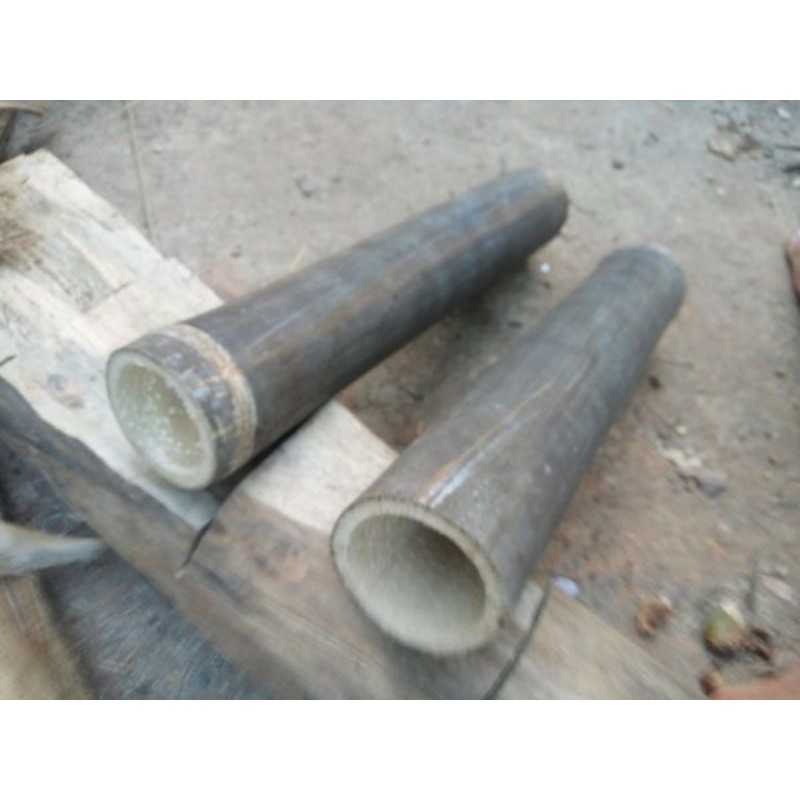 

bambu batang 50 cm