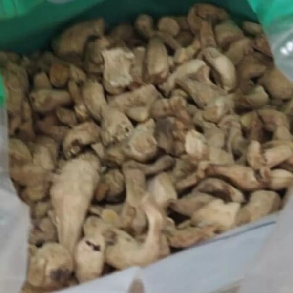 

Kaki Jamur Kering ( 50 gr , 100 gr )