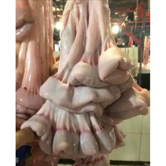 

Usus Sapi Segar 500gram