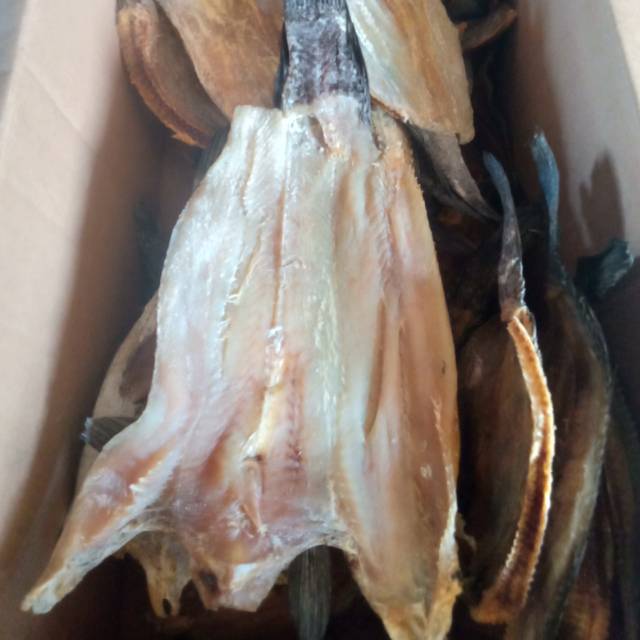 

IKAN GABUS ASIN RP 9000/100 GRAM