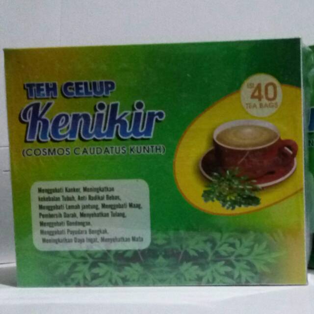 

Teh Celup Kenikir (Cosmos caudatus Kunth.)