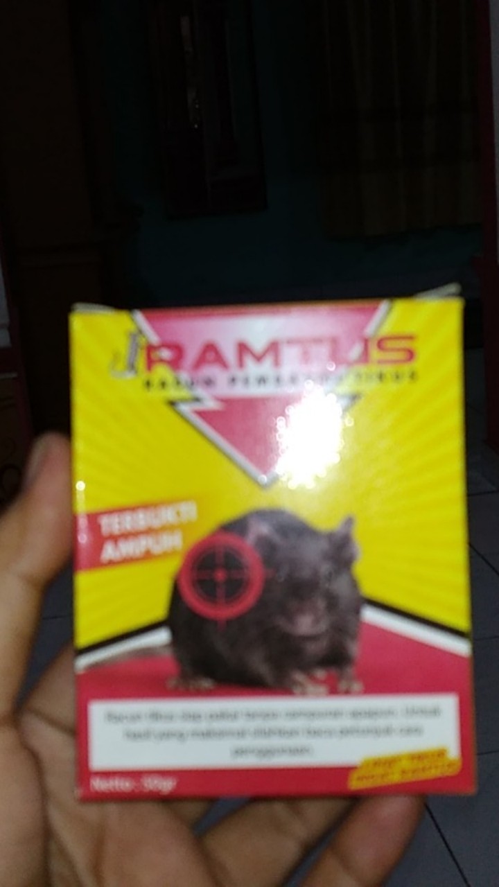 Racun Tikus Ramtus Asli Alami Mati Kering Tidak Bau Pembasmi Pengusir Tikus Super Paling Ampuh 4pack