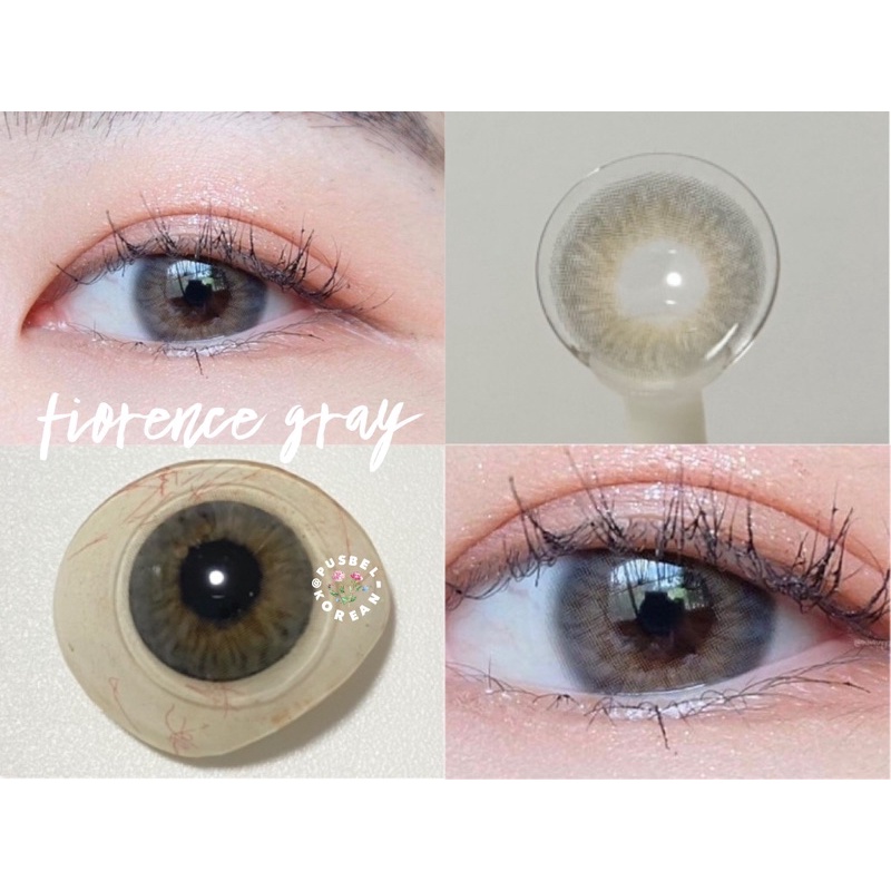 softlens fiorence gray beige original korea silicone hydrogel