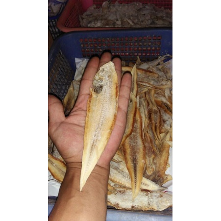 

Ikan Asin Lendra