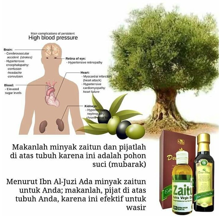 Hpai Hni Deep Olive Hpai Minyak Zaitun Murni Premium Extra Virgin Olive Oil Evoo Kesehatan Herbal Shopee Indonesia