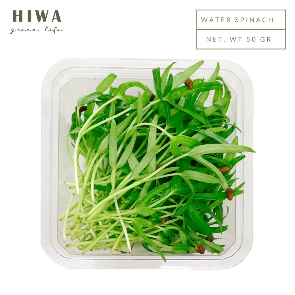 

HIWA Microgreen - Water Spinach