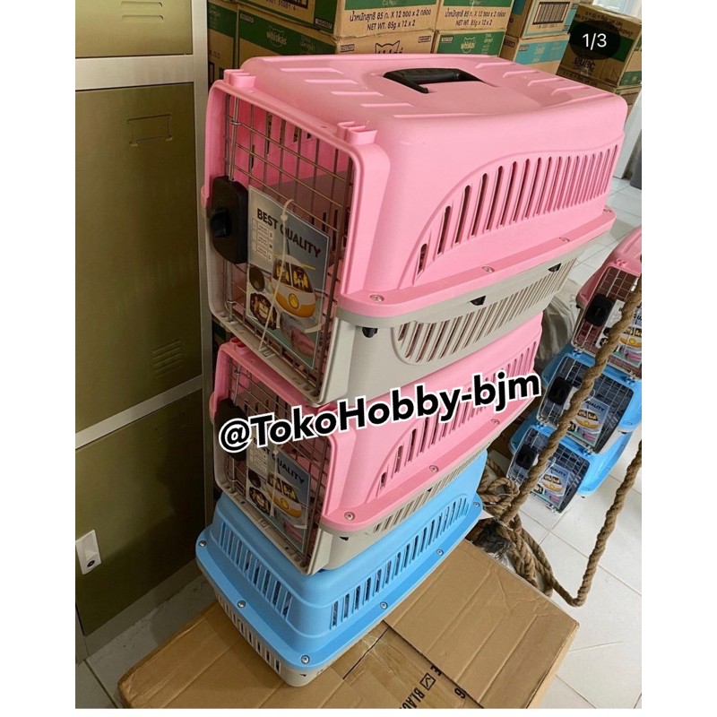 pet kargo kucing - pet cargo kucing anjing / kandang sangkar kucing anjing hewan