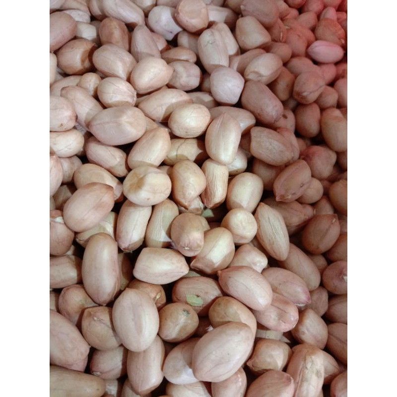 

Kacang tanah mentah 1kg