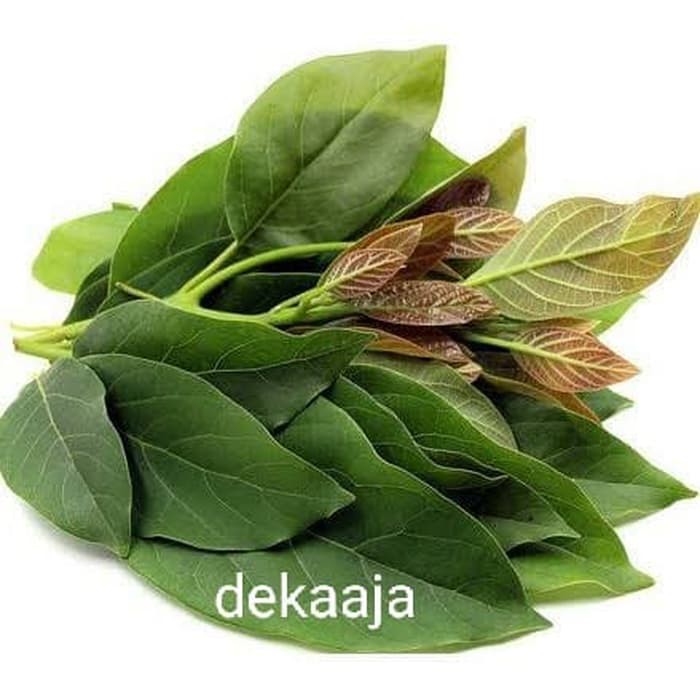 

DAUN ALPUKAT 1KG