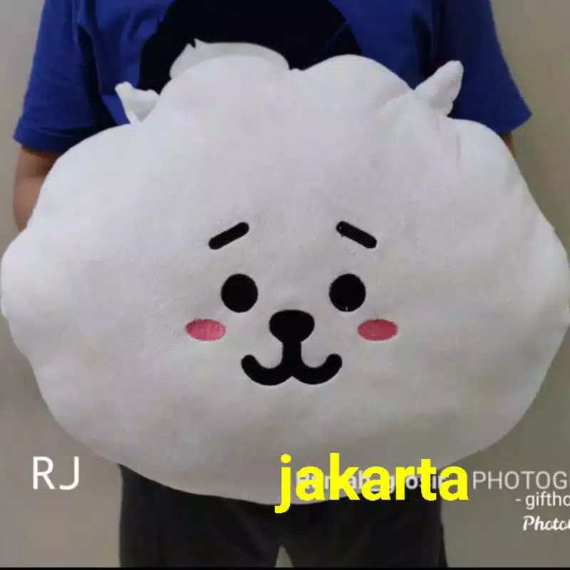 Bantal Bts21 Bantal kepop 40cm #murahlebay