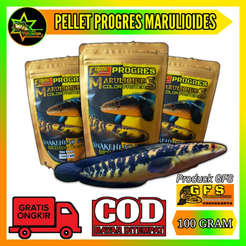 Pellet channa Gfs&gt;Progres Yellow,Red,Blue 100 Gram