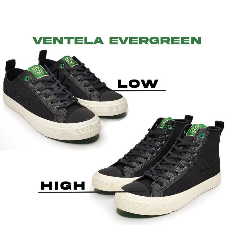VENTELA EVERGREEN HIGH LOW