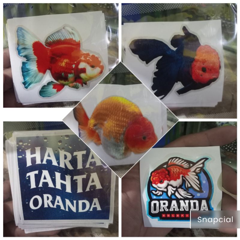 Stiker: Senjata Rahasia Sukses Jualan Ikan Online