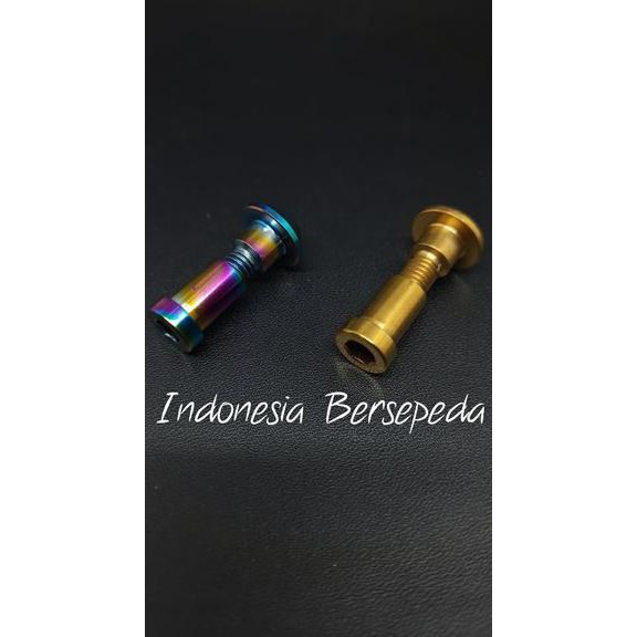 Titanium Seatpin For Vintage Bike - Seatpin Seatclamp Sepeda Vintage Jadul Federal Bridgestone