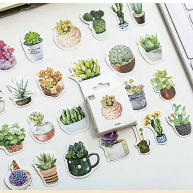 Wow 20 Wallpaper Lucu Tanaman Tiya Gambar Wow 20 Wallpaper Lucu Tanaman Tiya Gambar