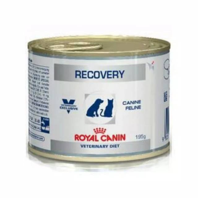 ROYAL CANIN RECOVERY 195GR KALENG