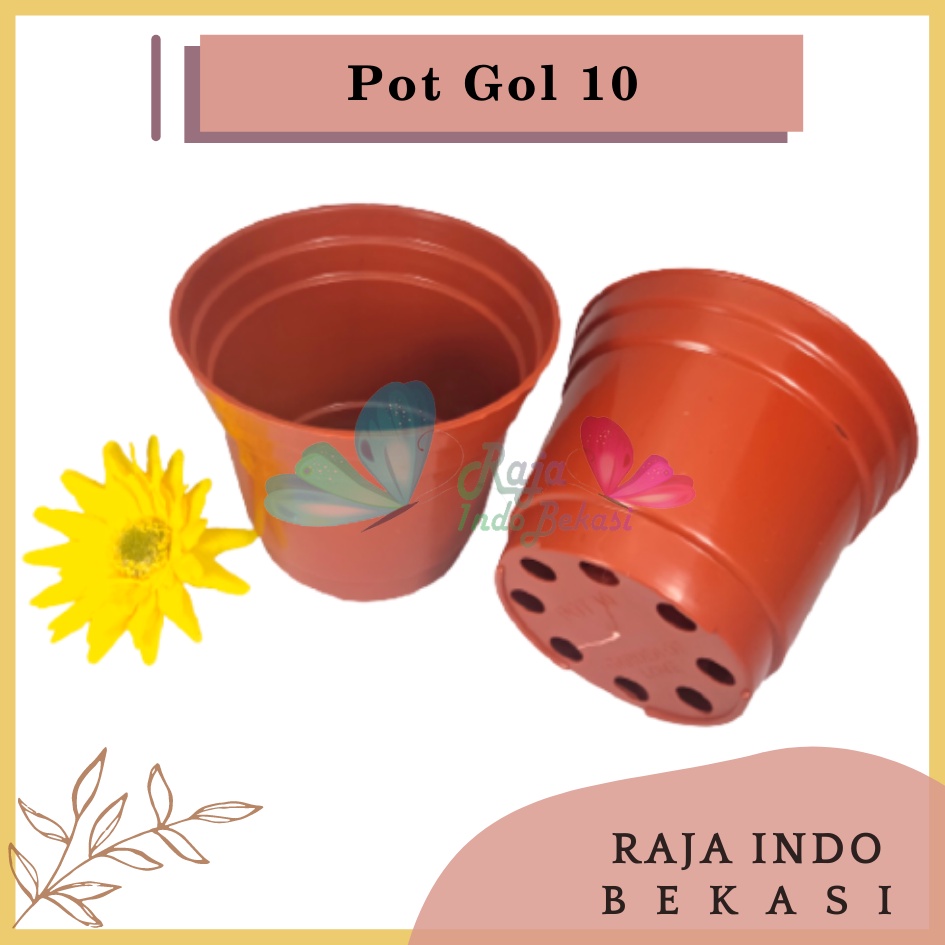 Pot 10 Coklat Merah Bata Murah - Pot Bulat Kecil Bisa Untuk Vas Bunga - Pot Tanaman 10CM Benih Kecil