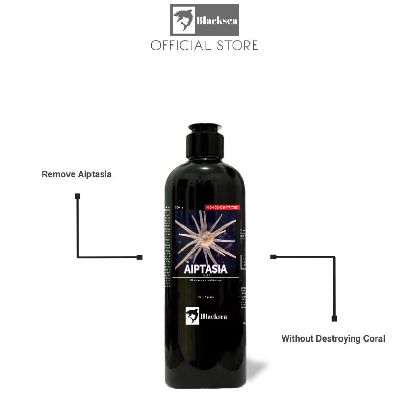 Perawatan hewan ikan coral Blacksea aiptasia killer pembunuh aiptasia hama aiptasia penghilang aipta