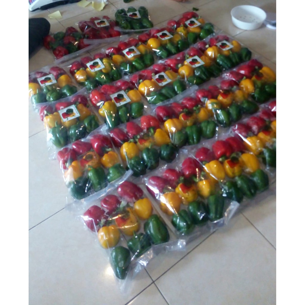 

Paprika Segar Murah Spesial Ramadhan Berkualitas per pcs