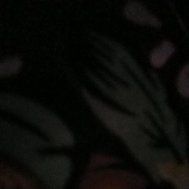 Pripoenbatik.com Kemeja Batik Panjang Premium Halus Adem M L Xl Xxl