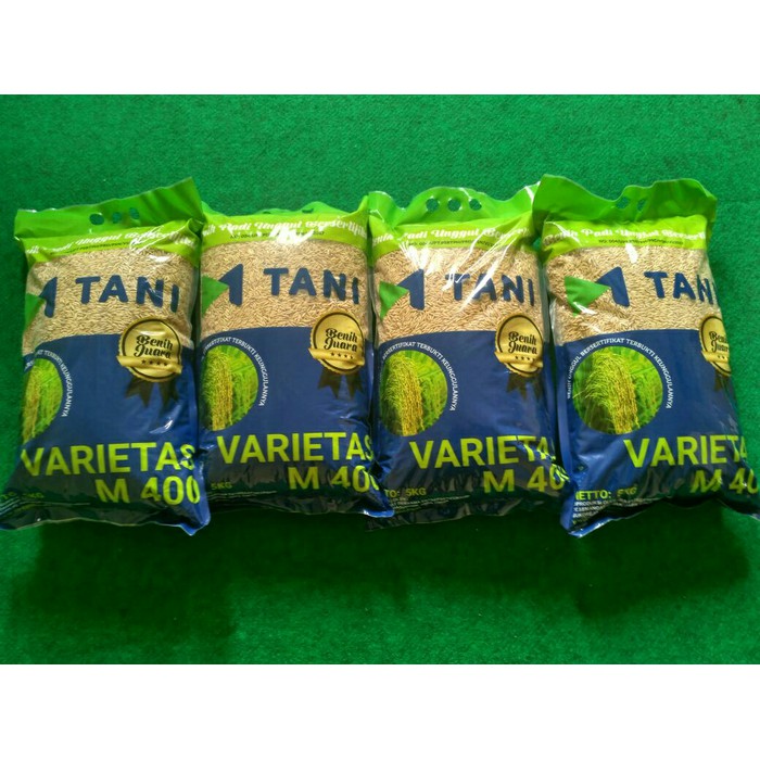 Promo Benih Padi Unggul M400 Murah