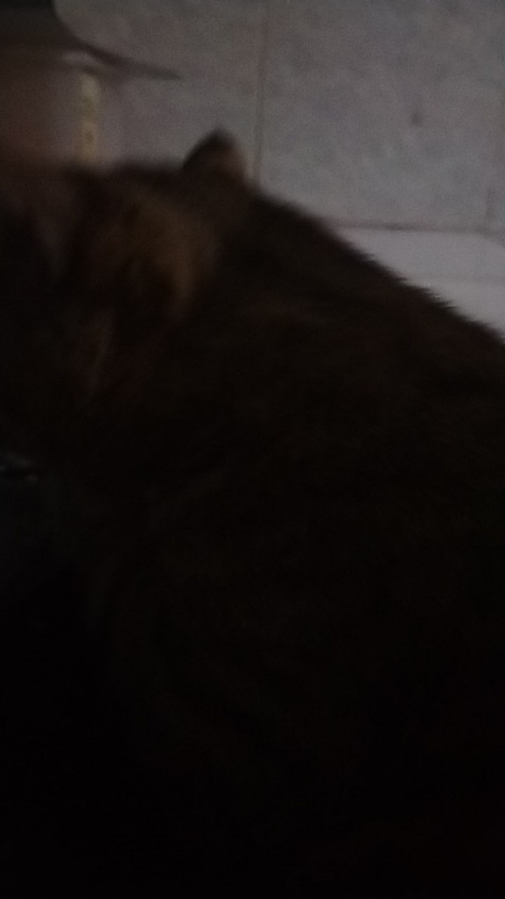 Knife Set Lock N Lock Sale