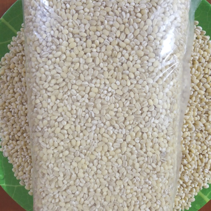 

Q12S Biji Jali-Jali Pearl Barley 500 Gram Import Holland D51qs