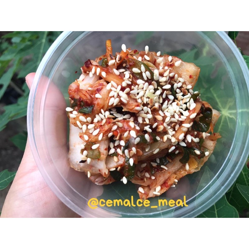 

kimchi cabbage