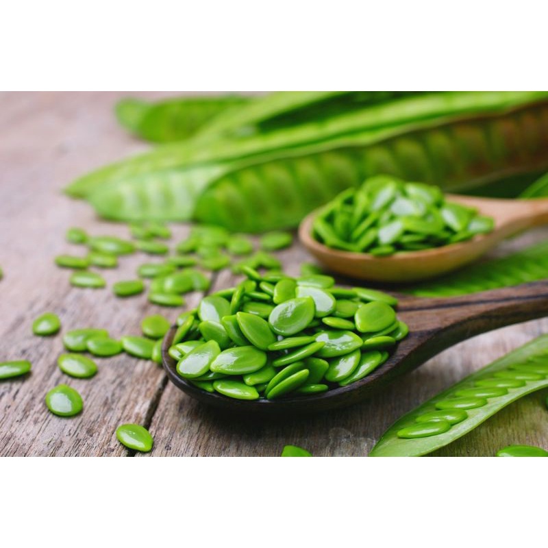 

petai cina / lamtoro 100gram