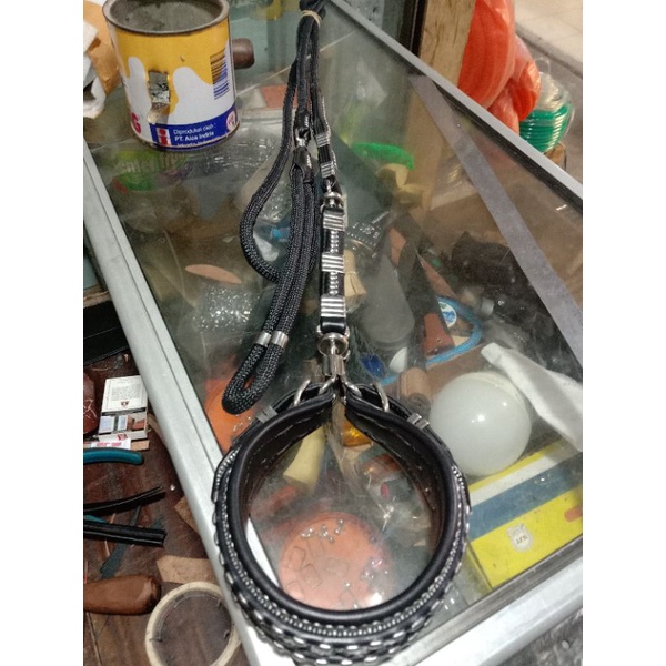 KALA/KALUNG PATIAK ANJING BERBURU