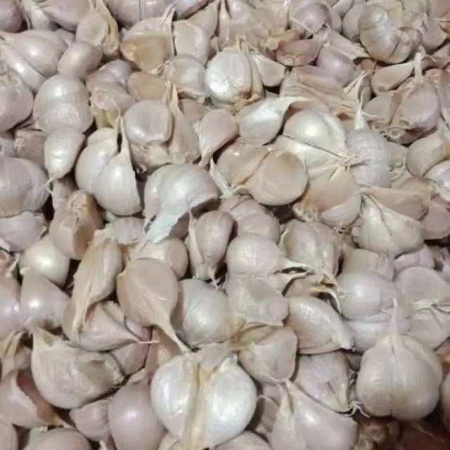 

Bawang Putih cutting 1kg