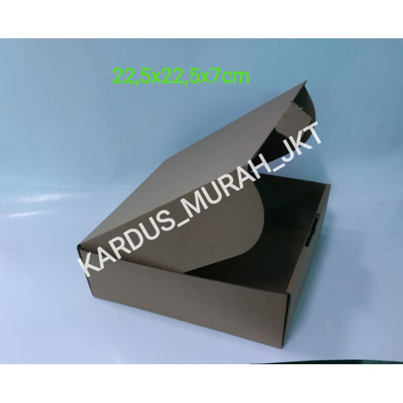 

KARDUS DIE CUT PIZZA POLOS UKURAN 22,5x22,5x7cm
