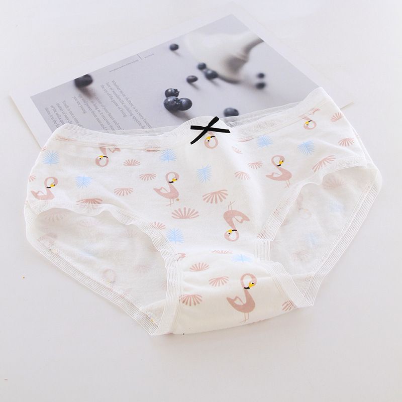 Celana Dalam Wanita Impor Mid Waist Motif Gambar Lucu Cute dan Motif Polos